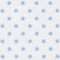Blue Dots on White - Swatch