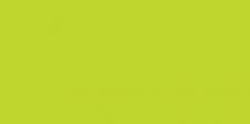 32 Neon Green Exquisite Embroidery Thread 5000 Meters