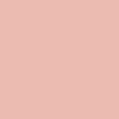 Exquisite Polyester Thread - 503 Salmon Bisque 1000 Meters