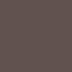 Exquisite Polyester Thread - 118 Gray Cat 1000 Meters