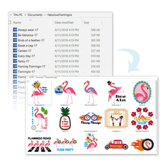 Perfect Stitch Viewer Software
