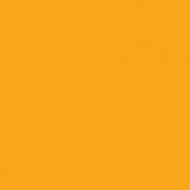 Assorted First Mark Vinyle (Sold by the yard)