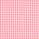 Fabric Finders 1/16" Gingham - Pink
