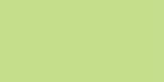 985 Green Apple  Exquisite Embroidery Thread