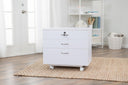 Koala Companion Chest - White (Q-W001C)
