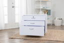 Koala Companion Chest - White (Q-W001C)
