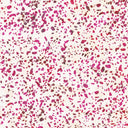 Riley Blake Batiks Elementals Terrazzo Cranberry Chip