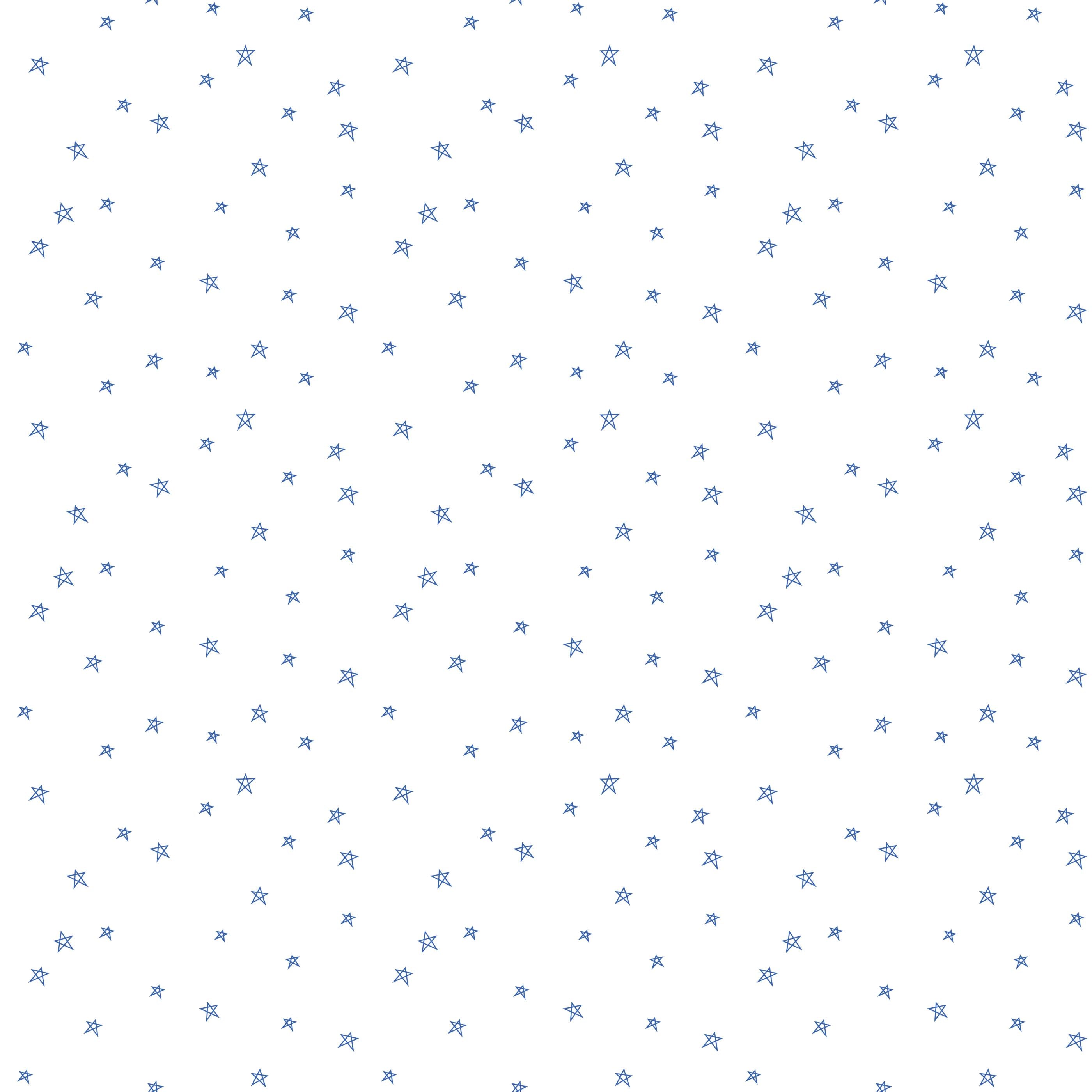 Riley Blake Bee Plaids Star Denim