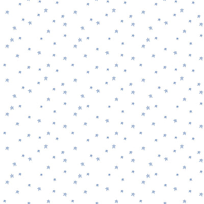 Riley Blake Bee Plaids Star Denim