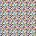 Riley Blake A Spoonful of Sugar Park Garden Cloud