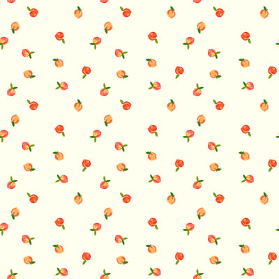 Riley Blake Southern Charm Peaches Cloud