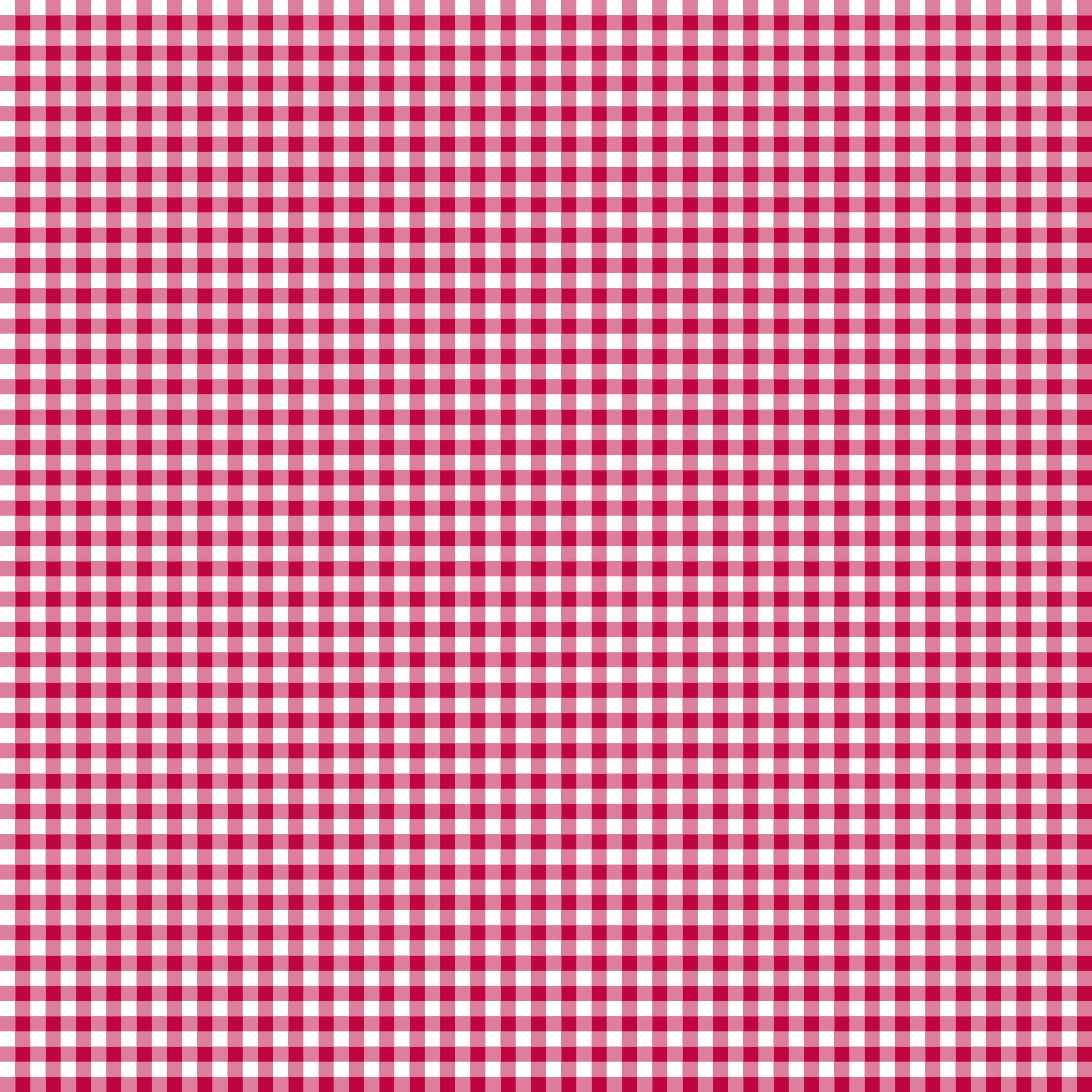 Riley Blake Little Ladybug Gingham Red