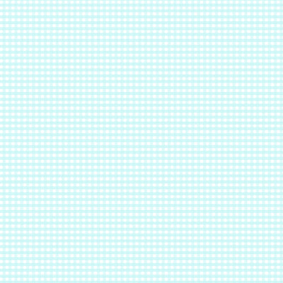 Riley Blake 1/8" Small Gingham Boy Blue