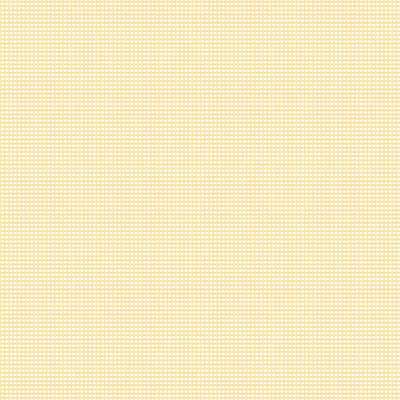 Riley Blake Micro Gingham Beehive
