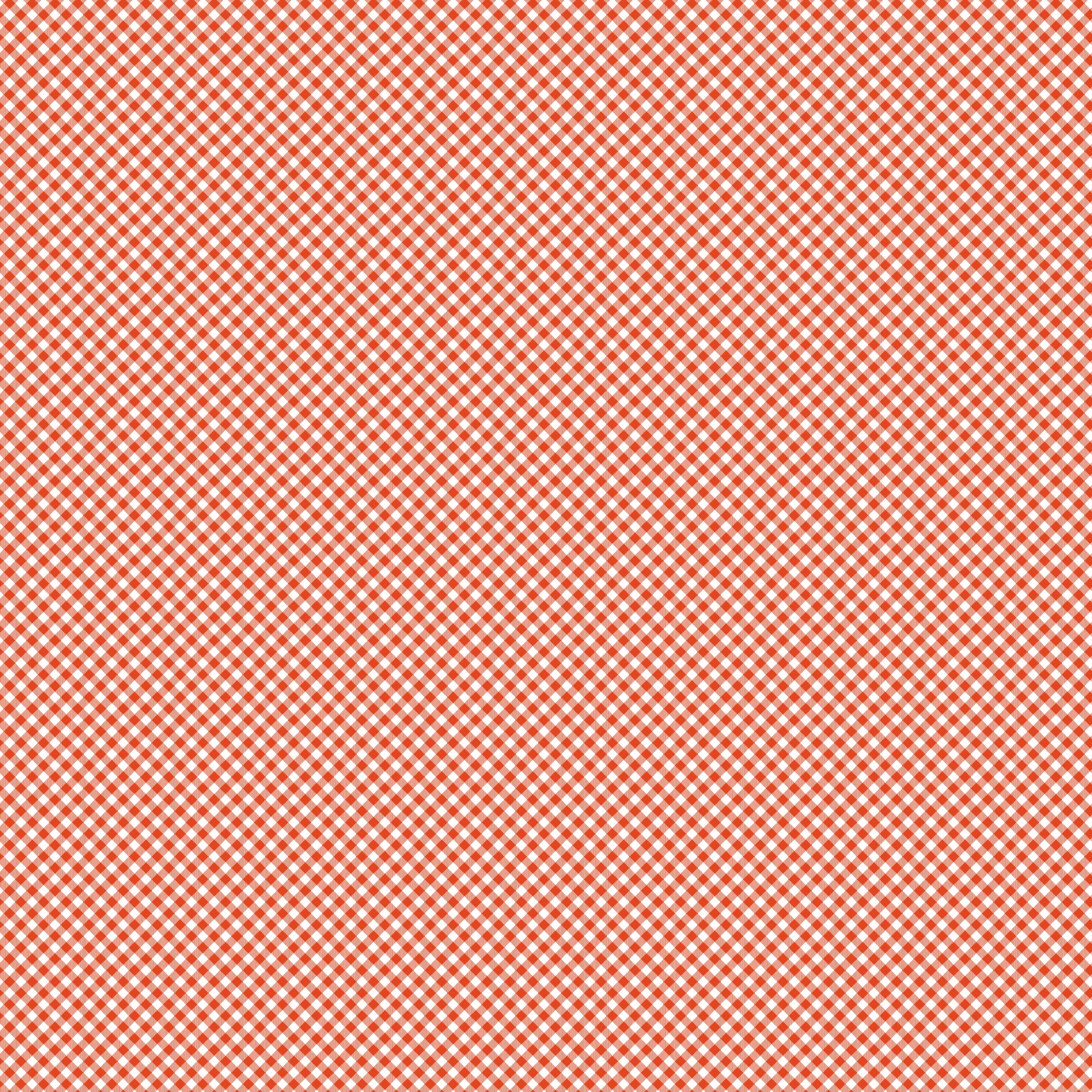 Riley Blake Seasonal Basics Gingham Orange C777-ORANGE quilting cotton