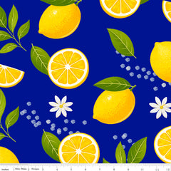 Riley Blake Double Brushed Poly Print 6B F002-DBP-PRINT6B with ruler