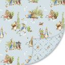 Riley Blake Double Lush Velvet 58/60in Peter Rabbit & Benjamin Bunny LV18115 - 58"/60" Double Lush Velvet plush - by the yard