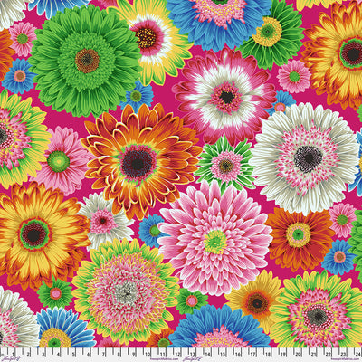 Kaffe Fassett Gerbera Daisies Bright PWPJ139.BRIGHT quilting cotton