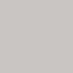 Exquisite Polyester Thread - 101 Light Silver 1000 Meters