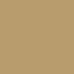 Exquisite Polyester Thread - 1148 Safari 1000 Meters