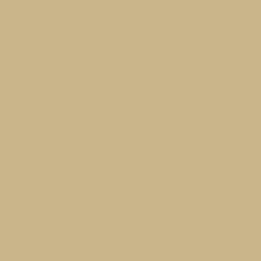 Exquisite Polyester Thread - 815 Taupe 1000 Meters