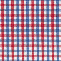 Red and Blue Check - Swatch