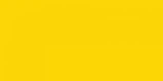 4117 Sunflower Exquisite Embroidery Thread