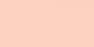 502 Flesh Exquisite Embroidery Thread