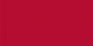 529 Persimmon Exquisite Embroidery Thread