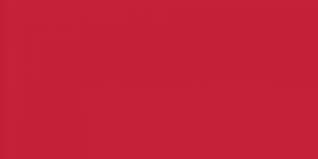 571 Holly Red Exquisite Embroidery Thread