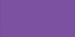 1313 Orchid Bouquet Exquisite Embroidery Thread