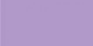 343 Tulip  Exquisite Embroidery Thread