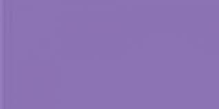 1324 Tulip 3  Exquisite Embroidery Thread