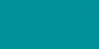 443 Turquoise Green  Exquisite Embroidery Thread