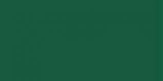 995 Spruce  Exquisite Embroidery Thread