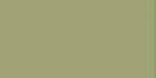 653 Reed Green Exquisite Embroidery Thread