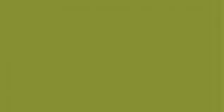 953 Swamp Green  Exquisite Embroidery Thread