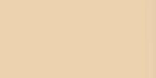 814 Tan  Exquisite Embroidery Thread