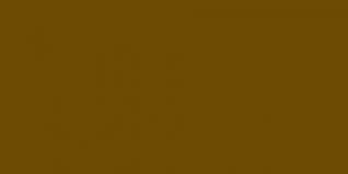 857 Honcho Brown  Exquisite Embroidery Thread