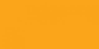 43 Neon Orange  Exquisite Embroidery Thread