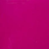 Raspberry (sold by yard)